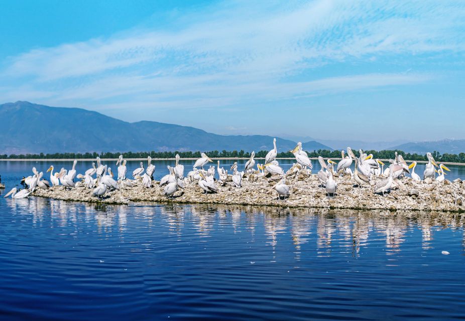 From Thessaloniki: Private Day Trip to Kerkini Lake - Meeting Point