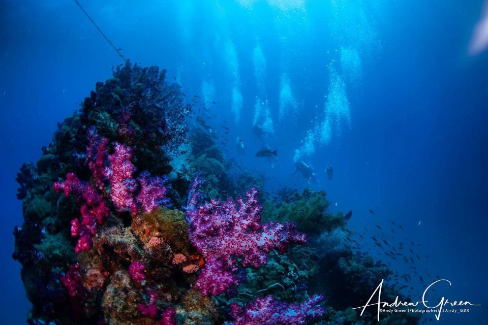 From Townsville or Magnetic Island: Yongala Wreck Dive Trip - Highlights