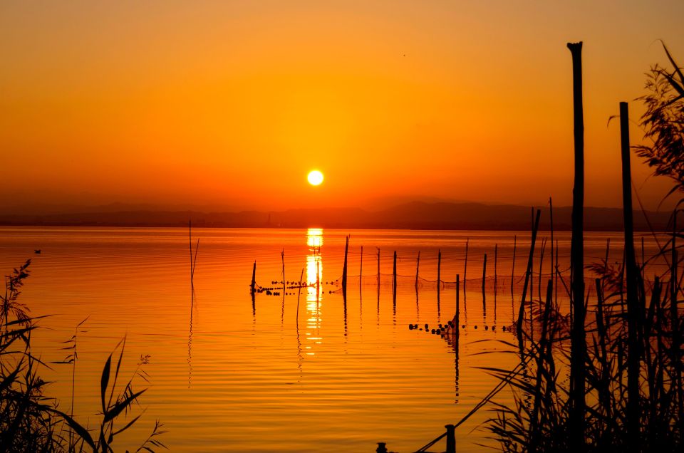 From Valencia: Albufera Natural Park With Sunset Experience - Experience Highlights