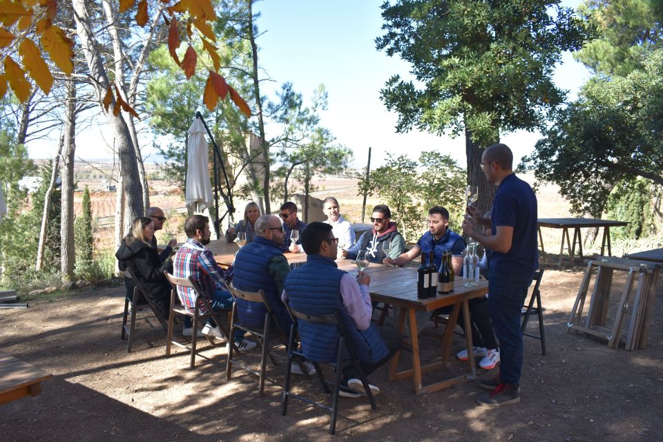 From Valencia: Guided Cheese Factory Tour With Wine Tasting - Live Guide Information