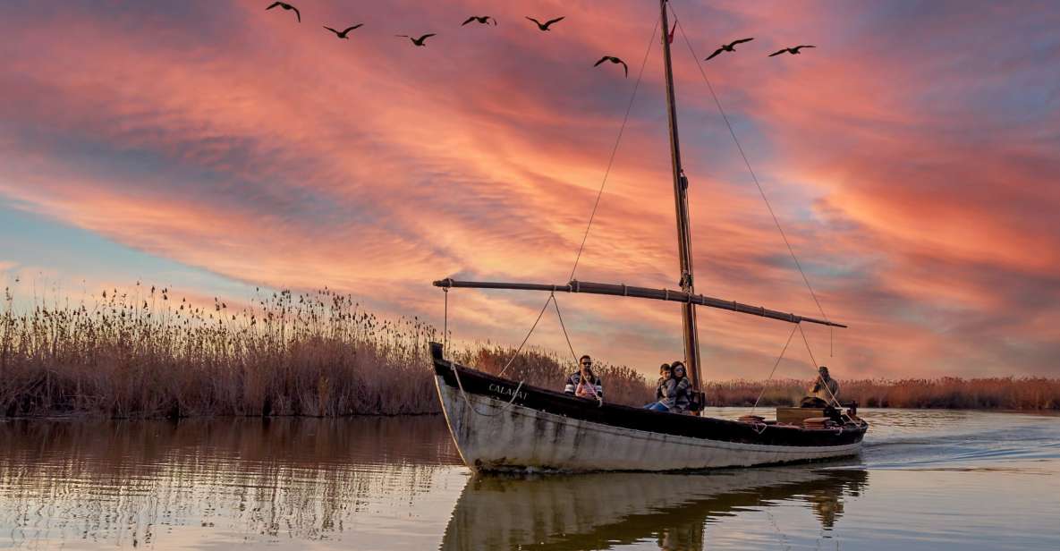 From Valencia: Private Albufera Van Tour With Boat Ride - Tour Highlights