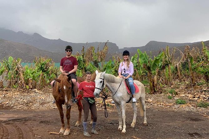 Fruit Farm Horse Riding - Horse Riding Tour Restrictions