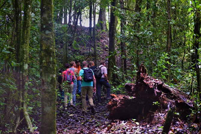 Full-Day Brownsberg Nature Park Tour - Common questions