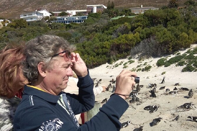 Full Day Cape Peninsula, Cape of Good Hope, Penguins Private Tour - Booking Information