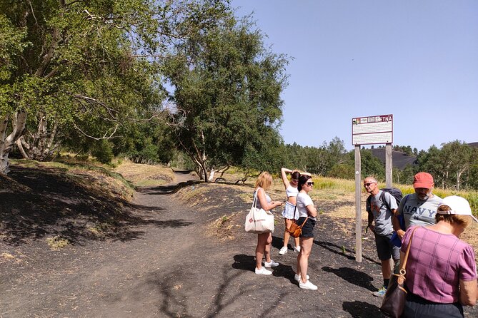 Full Day Etna Immersive Trek & Taste From Taormina and Naxos - Reviews and Ratings