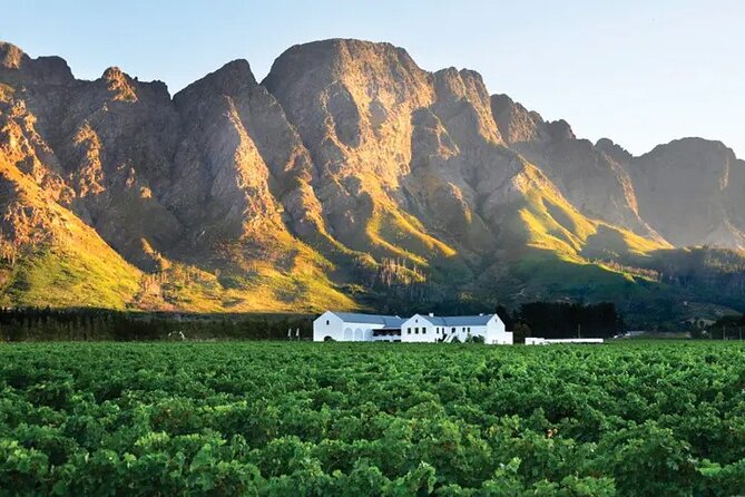 Full-Day Franschhoek Wine Tour From Cape Town - Gourmet Lunch Inclusions