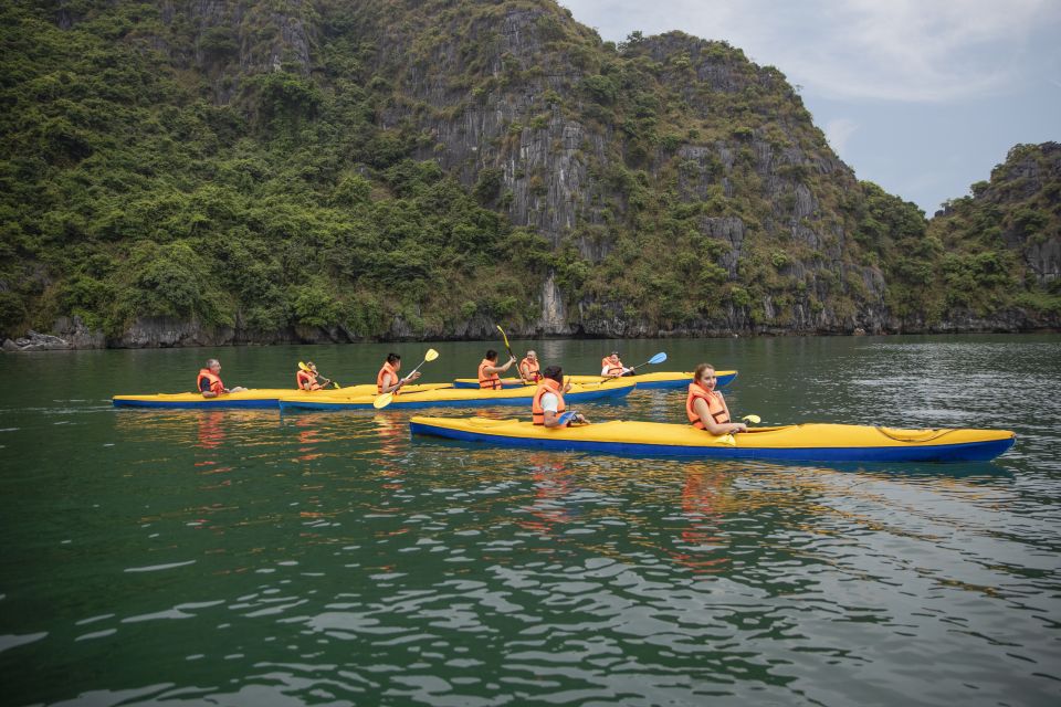 Full Day Halong Bay, Bus, Guide, Meal, Kayaking, Cave, Swim - Experience Highlights