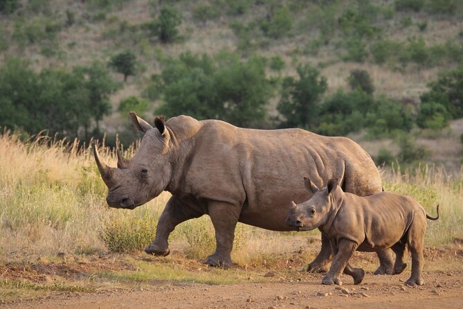 Full Day - Isimangaliso Wetlands - World Heritage Site Fro Durban - Dining and Refreshment Options