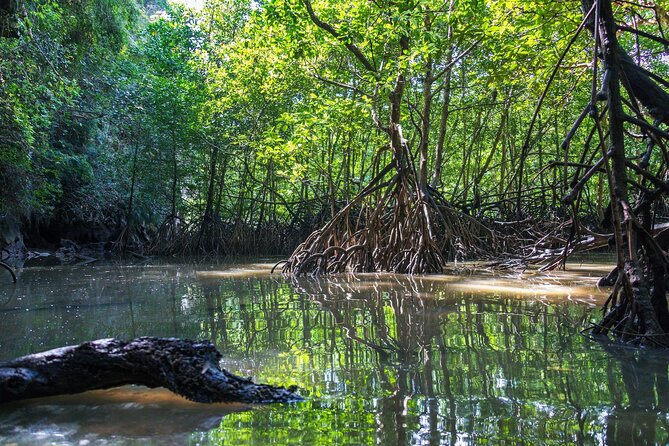 Full-Day Island Tour in Phang Nga Canoe and Koh Khai - Inclusions and Exclusions