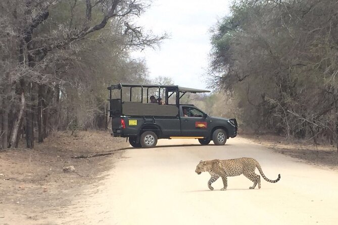 Full Day Kruger National Park Game Drive - Meeting Point Options