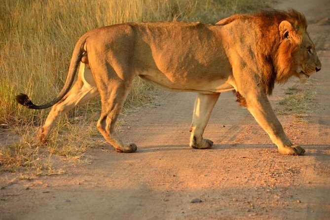 Full Day Lesedi Cultural Village and Mini Safari Tour - Group Size