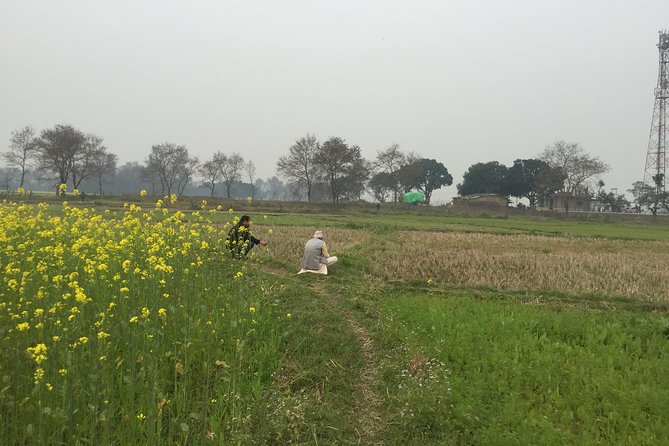 Full Day Lumbini Tour - Customer Support Information