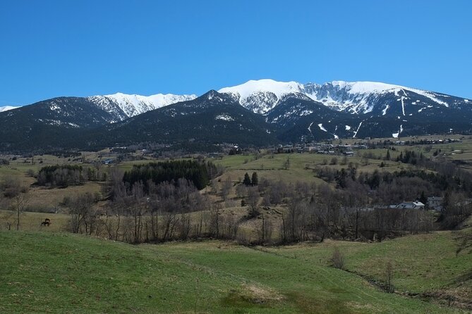 Full Day Private Guided Tour in Cerdanya - Important Information