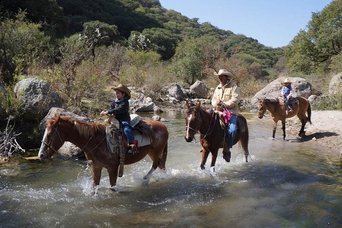 Full-Day Ranch Adventure and Horseback Riding Tour - Customer Reviews