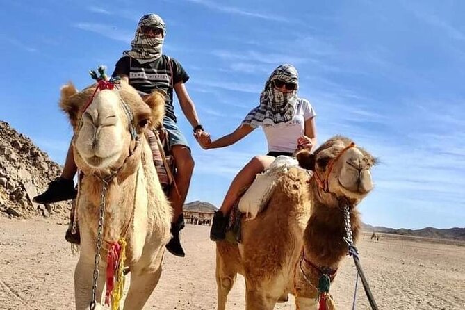 Full-Day Safari Adventure in Hurghada With Pick up and Dinner - Safari Activities and Highlights