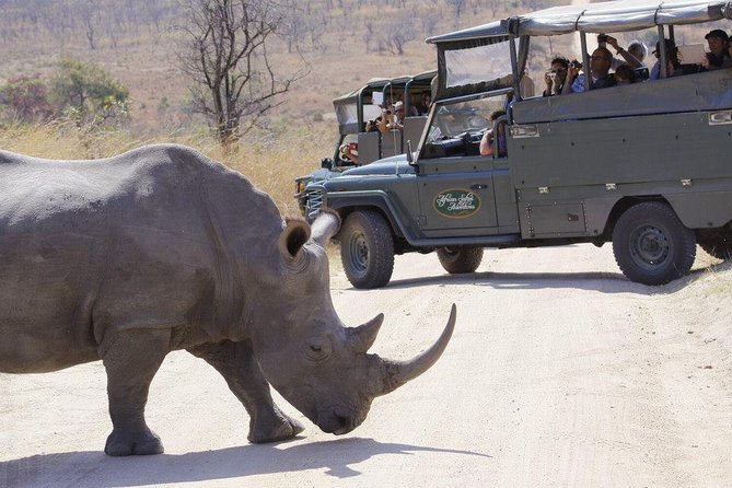 Full Day Safari in the Kruger National Park From Hazyview - Lunch and Refreshment Break