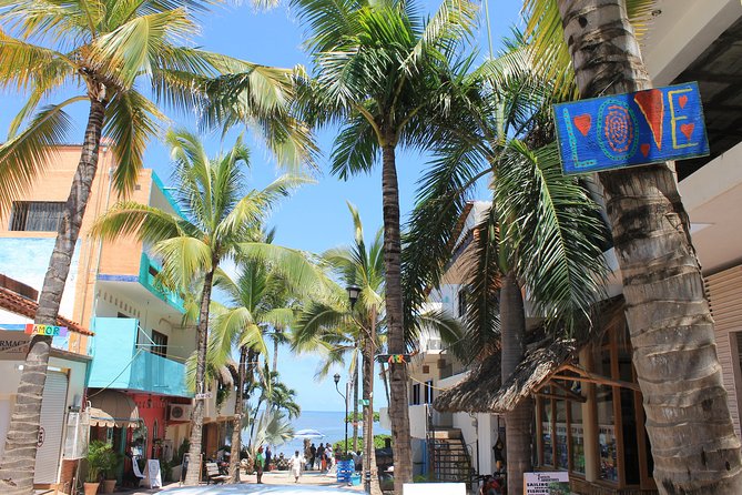 Full-Day Sayulita and San Pancho From Puerto Vallarta - Tour Highlights and Activities