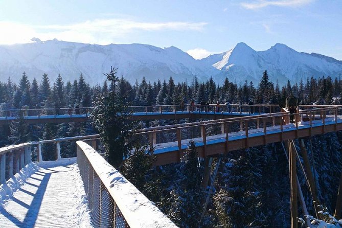 Full-Day Slovakia Treetop Walk and Thermal Baths From Krakow - Meeting Options