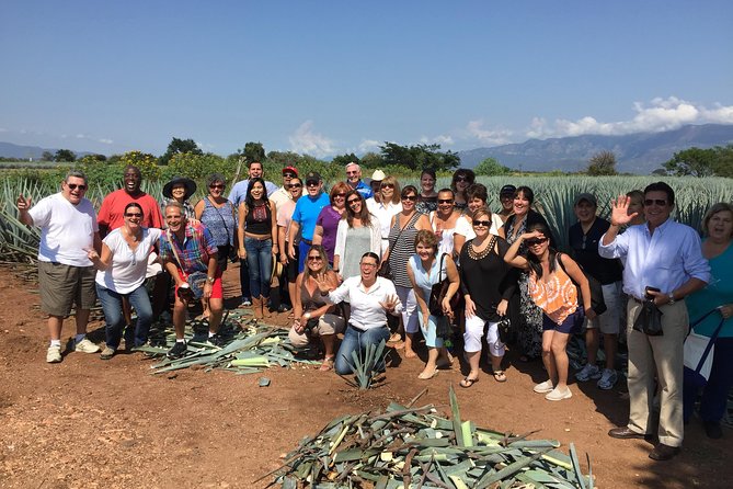 Full-Day Tequila Tour From Guadalajara - Language and Communication