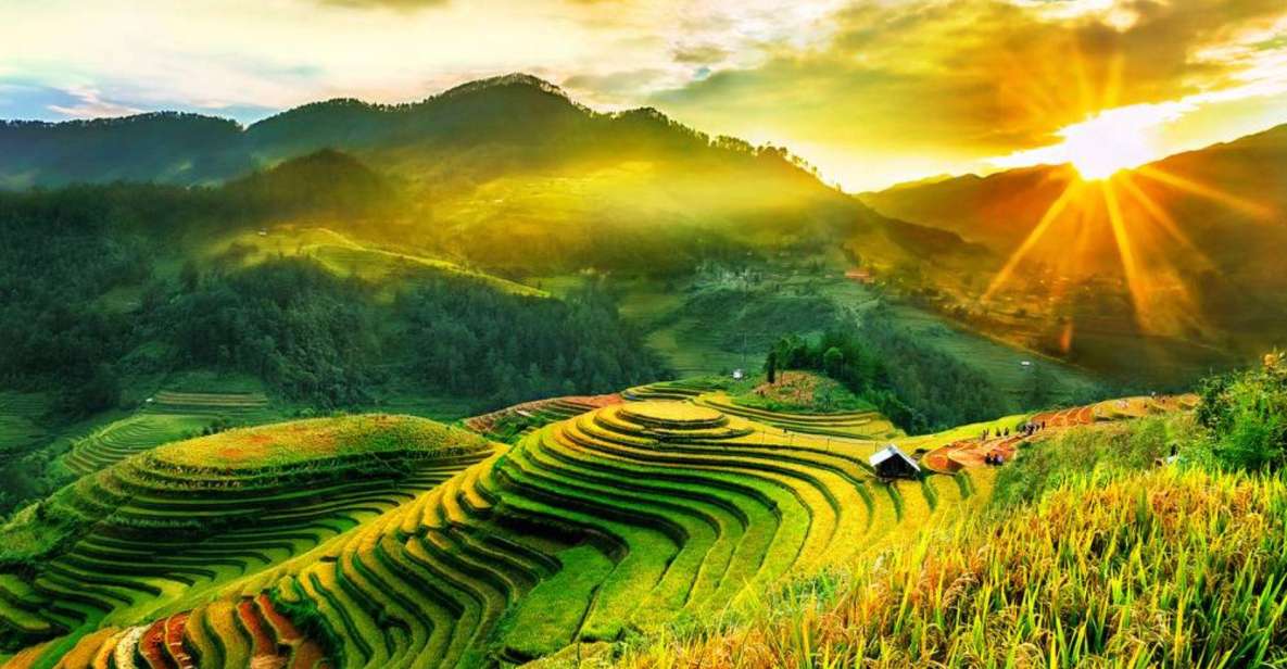 Full Day Tour in Sapa Trekking With Local Guide - Tour Description