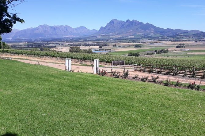 Full Day Wine Tasting in Stellenbosch, Franschoek & Paarl Fees Included - Wine Estate Visits