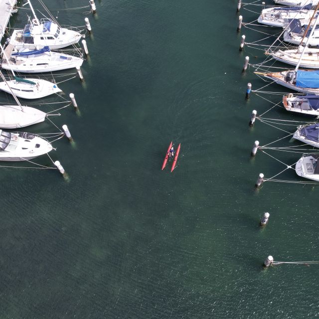 Geelong: Water Bike Coastal Tour - Experience