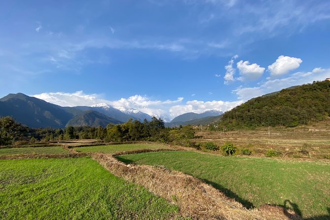 Gentle Walking Tour to Explore Nature in Pokhara - Local Flora and Fauna