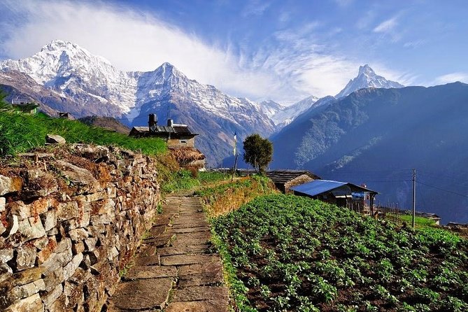 Ghorepani Poonhill Trek 5 Days From Pokhara - Accommodation Details