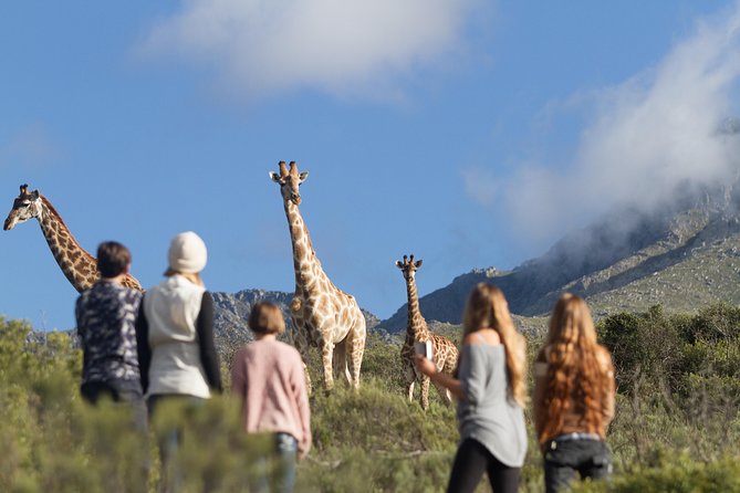 Giraffe Walk - Cancellation Policy