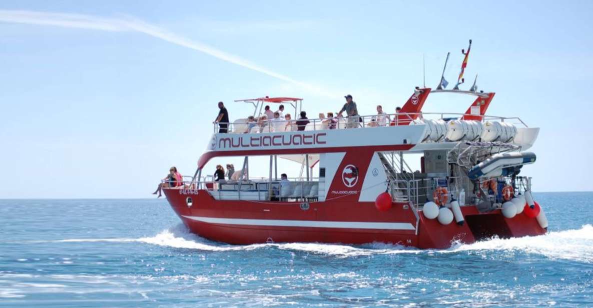 Gran Canaria: Dolphin and Whale Watching Cruise - Booking Information