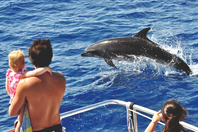 Gran Canaria Dolphin Watching Cruise - Common questions