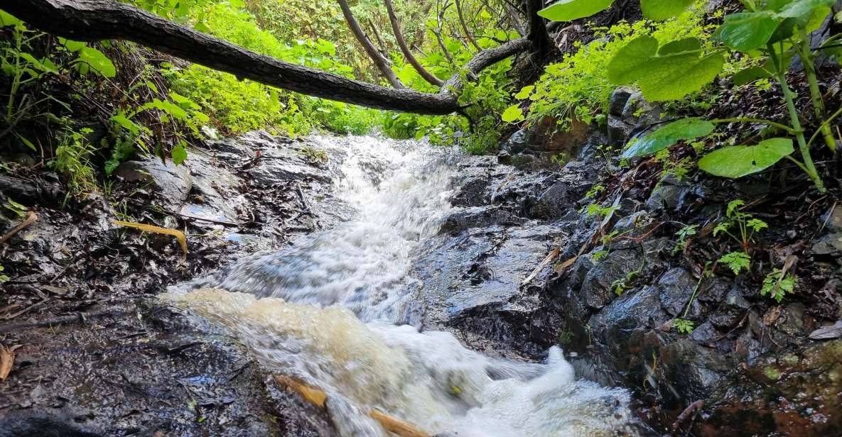 Gran Canaria: "Magic Waterfalls" Hiking Tour - Hiking Route