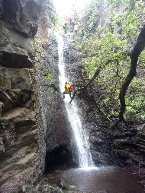 Gran Canaria: Rainforest Canyoning Tour With Gear and Snack - Canyoning Activities and Fitness Level