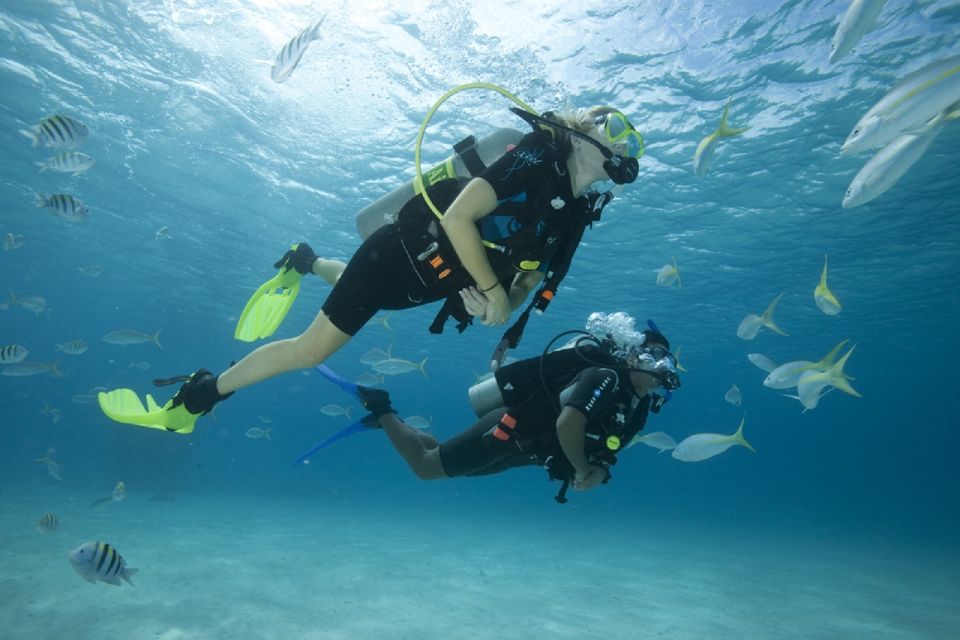 Gran Canaria: Scuba Diving for Beginners - Customer Reviews