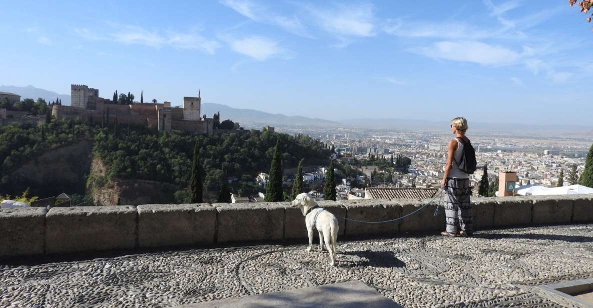 Granada: Guided Albaicín Visit With Pets - Important Tour Information