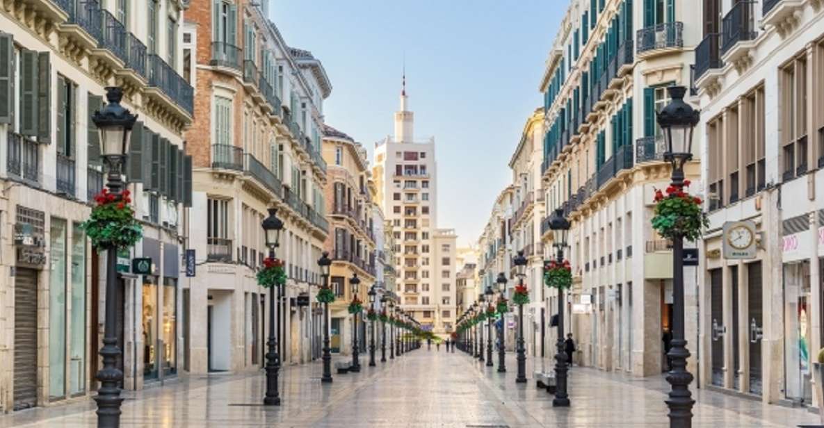 Grand Tour: Málaga's Best Sights and Surronds - Tour Logistics