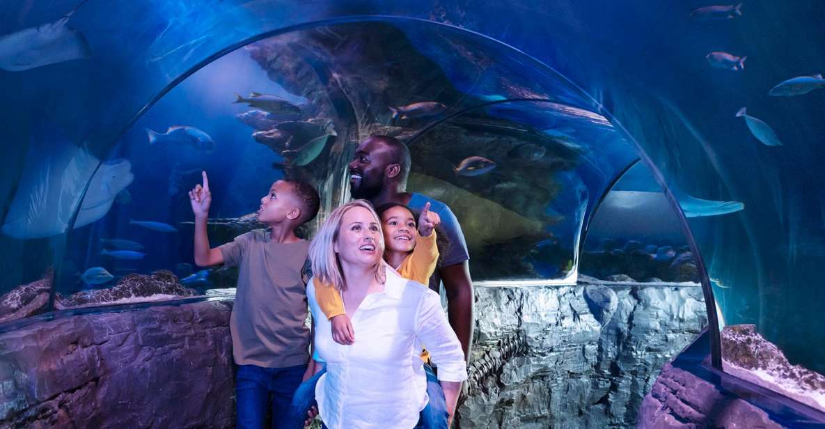 Grapevine: SEA LIFE Grapevine Aquarium General Admission - Full Experience Description