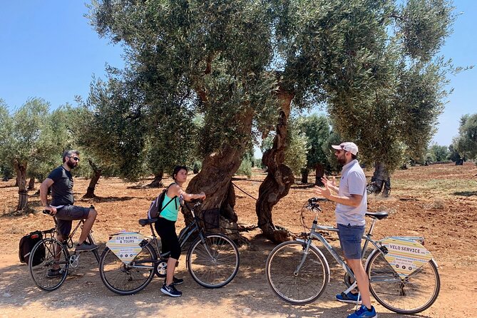 Guided Bike Tour of Monopoli Countryside  - Alberobello & Locorotondo - Booking Details