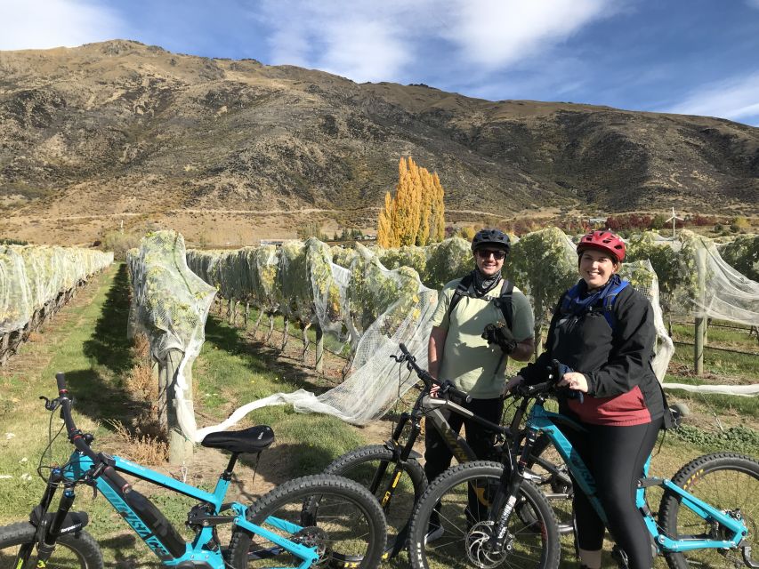 Guided E-Bike Wine Tour Ride to the Vines - Tour Highlights