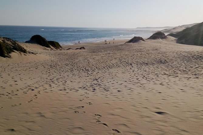 Guided Marine Walk: - Sardinia Bay (Marine Protected Area) - 3 Hours - Practical Information