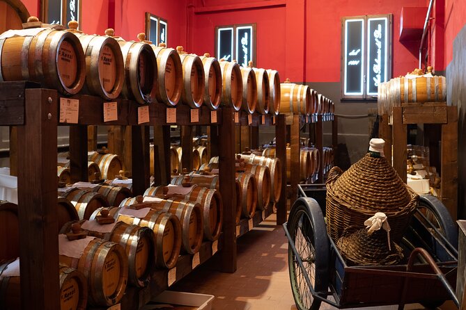 Guided Tour and Tasting in Acetaia in Modena - Customer Experience and Satisfaction