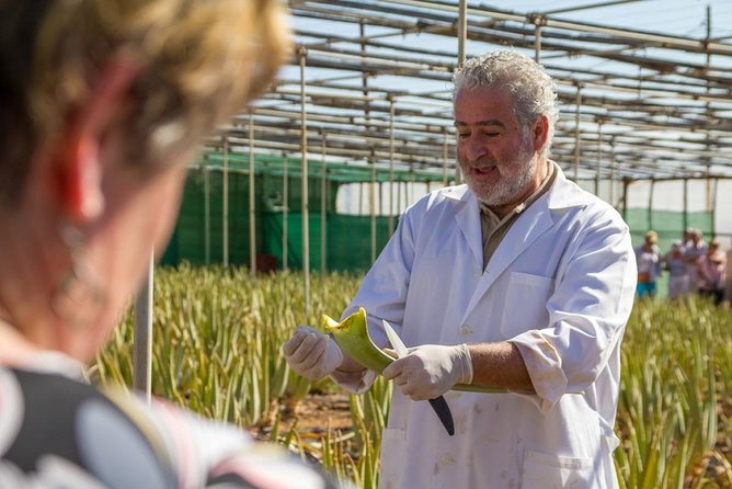 Guided Tour: Past and Present of Gran Canaria - Traditional Culinary Experiences