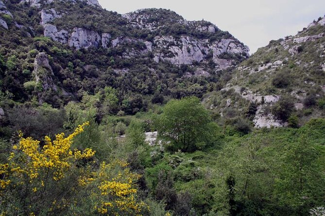 Guided Trekking to Cavagrande Del Cassibile in Sicily - Reviews and Feedback