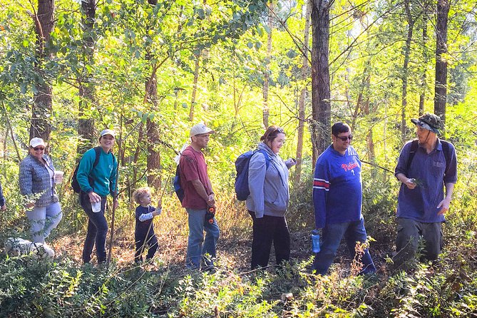 Guided Village Walk With Stories in Dharamsala - Group Size and Operator Information