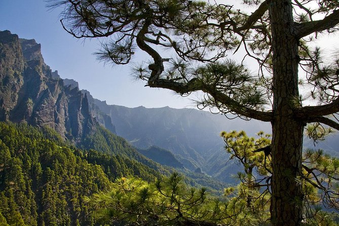 Guided Walking Route to Caldera De Taburiente - Tour Highlights and Must-See Stops