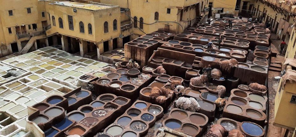 Guided Walking Tour in Old Medina Fez - Architectural Marvels and Cultural Insights