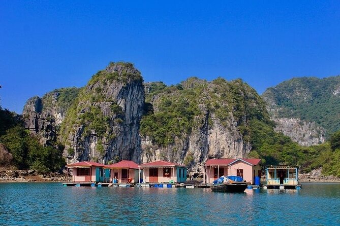 Ha Long Bay Day Cruise, Cave, Kayaking, Swimming, Bus & Lunch - Kayaking Adventure Highlights