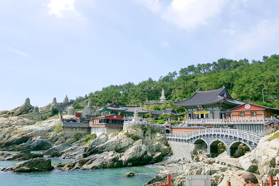 Haedong Yonggungsa Temple, Camellias Island & More - Booking Information