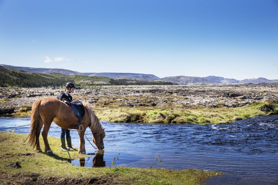 Hafnarfjörður: Horseback Riding Tour in Reykjavik Area - Starting Location and Equipment