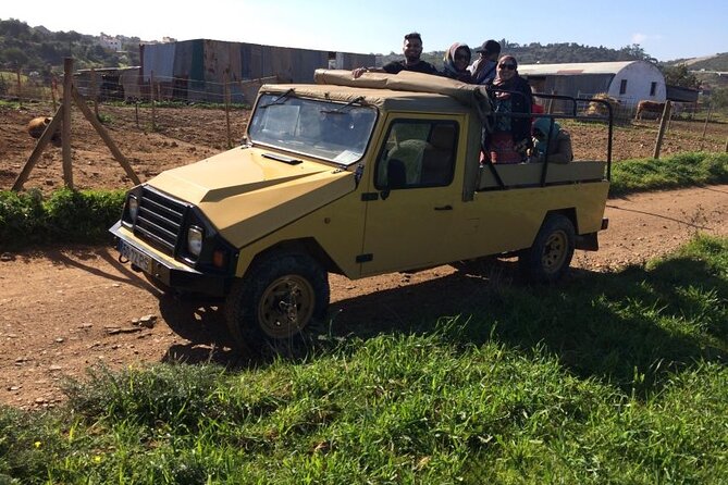 Half-Day Algarve Jeep Safari Sunset Tour - Insider Tips